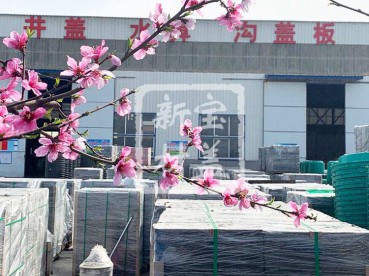 花滿枝頭，春意盎然